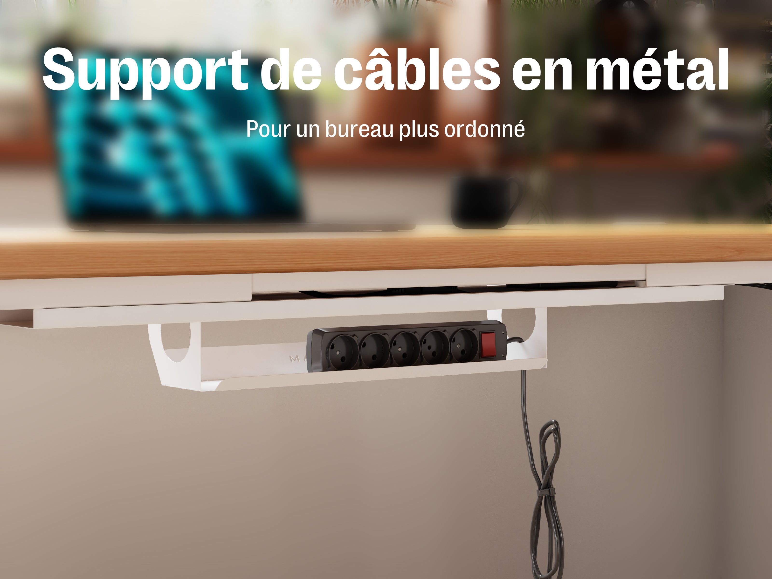 Maidesite EL2 Plus Art - Bureau assis debout électrique